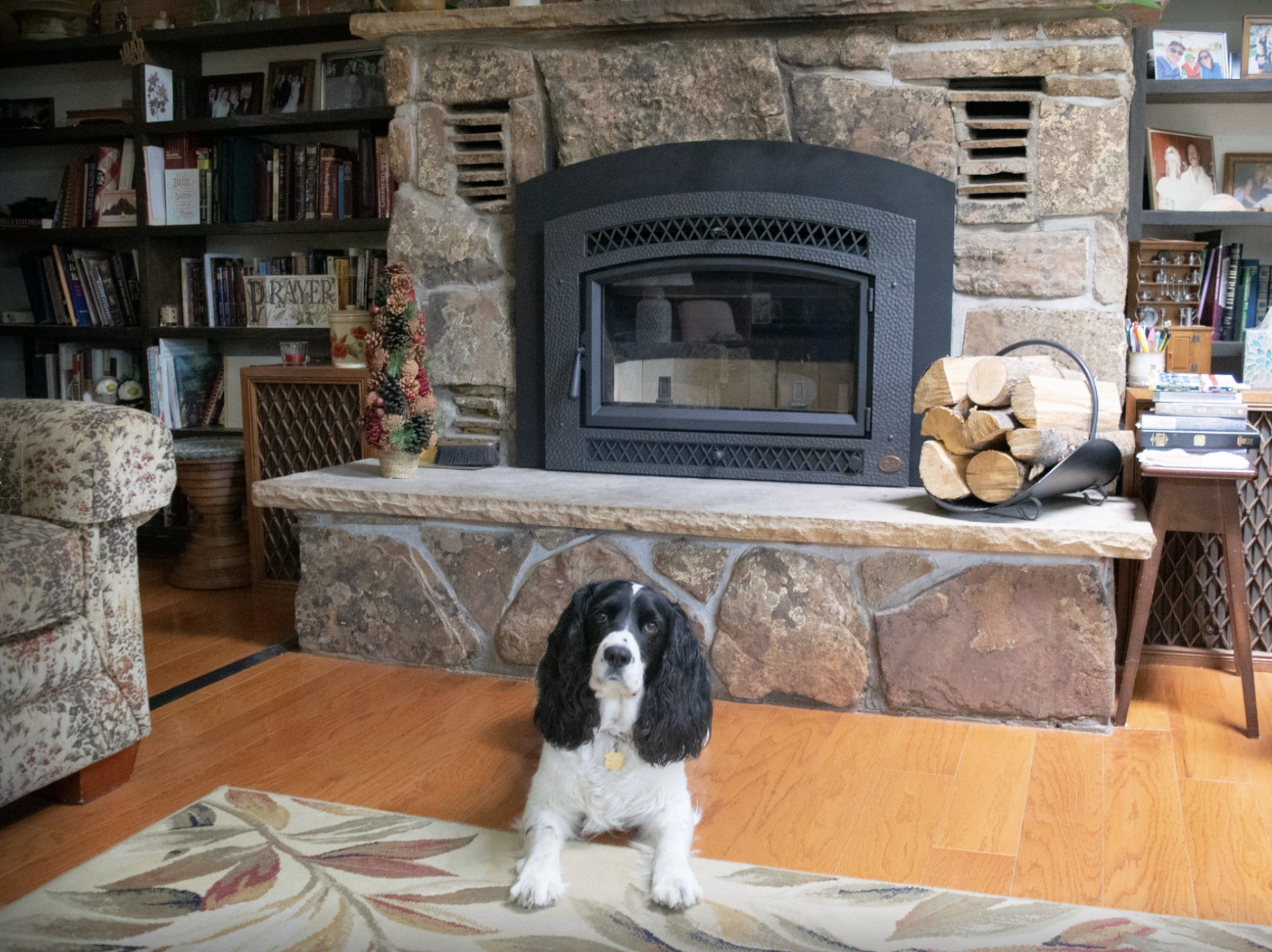 FireplaceX Large Flush NexGen Hybrid — Woodstove Insert